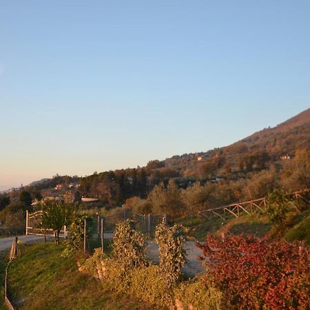 Locazione Turistica Villa Delle Rose Assisi Eksteriør billede