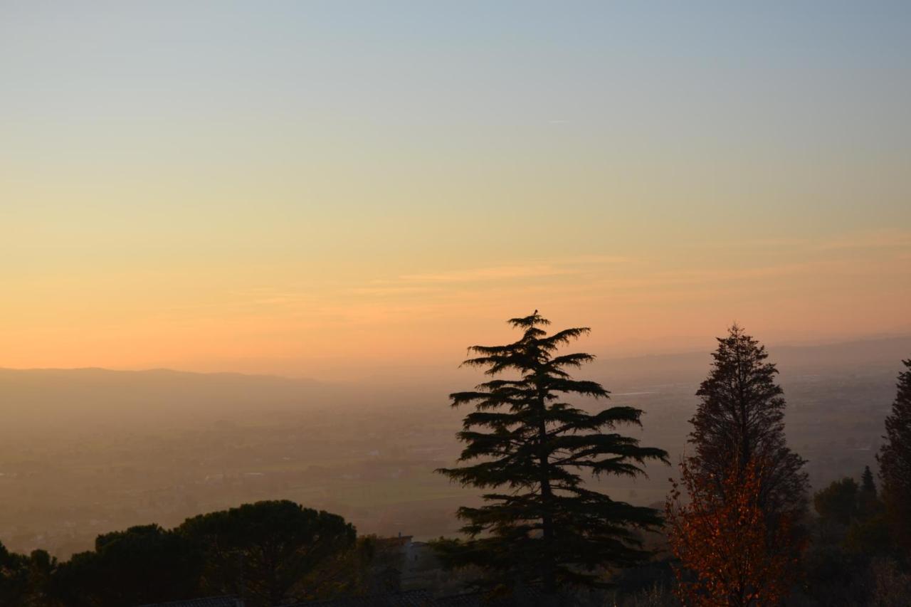 Locazione Turistica Villa Delle Rose Assisi Eksteriør billede